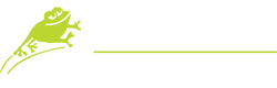 LeapAcademy-DTF